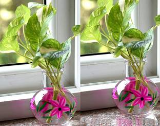 Namisha Round Flower Glass Vase For Money Plant Set of 2 vases Clear12x10 Cm Glass Vase