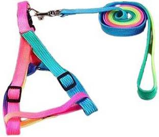 DogTrust Colourful Adjustable Nylon Puppy Leash Harness, Dog Buckle Harness