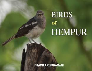 Birds of Hempur