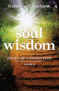 Soul Wisdom Point of Connection Book 3