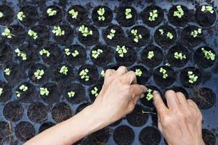 Agri use Seed Germination Plastic Seedling Nursery Tray with 104 Cavities Growing Plant Plant Container Set