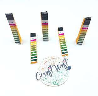 CRAFTWAFT pH Test Paper Strips, pH Strips Indicator pH Measure Full Range 0-14 for Soil and Water Test Pack of 100 Strips Ph Test Strip