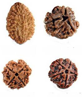 Amriteous 100% Original rudraksha beads (2 to 5 mukhi) Rudraksha Pack of 4 Wood Pendant