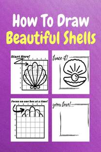 How To Draw Beautiful Shells