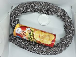 A SARKAR MAGIC WORLD DELICIOUS CHIPS TO SNAKE PRANK GAG TOY / CHIPS TUBE TO SNAKE MAGIC 1 Magic Tricks