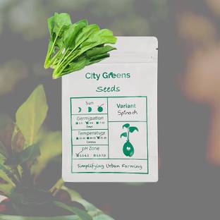 CityGreens Indian Greens - Spinach - 10 grams -1000 Seed