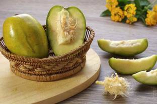 AloGardening Amra Plant
