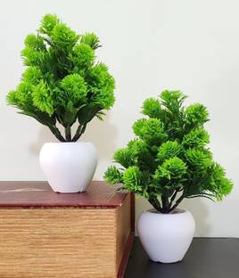 Siddhivinayak Artificial Plant Bonsai Ball Plant Green Grass with Pot 16 cm Height) - Set of 2 Bonsai Artificial Plant  with Pot