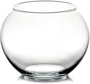 Virya Beautiful Clear Glass Pot for Lucky Bamboo/ Money Plant (Without Plants) Plant Container Set