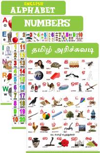 Tamil Arichuvadi Chart for Kids 47x65 cm Mega Size (3 Charts ) - Laminated Early Learning Education Wall Picture Chart | Tamil Alphabets, English Alphabets & Numbers