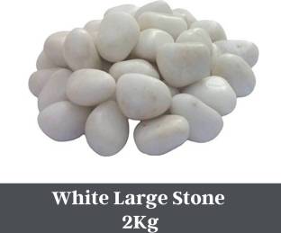 Foodie Puppies White Pebbles Glossy Stones For Home Decorative, Vase Fillers, Aquarium Fish Tank,Garden (Polished 2 kg) River Rock Unplanted Substrate