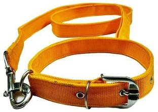 G T L Enterprises Dog collar and Lease Large size 20 cm Dog Strap Leash