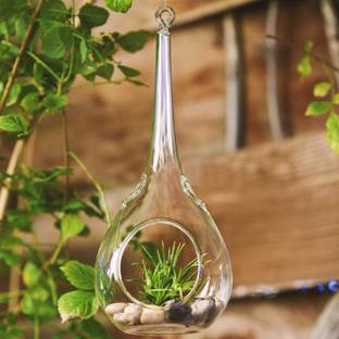 Leafy Dew Teardrop Hanging Succulent Air Plant Terrarium(Cococpeat and white pebbles) Glass 1 - Cup Candle Holder
