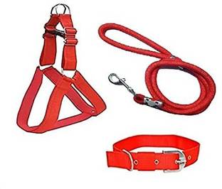 Hundur Store Dog Standard Harness