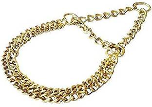 DogTrust 25 cm Dog Chain Leash