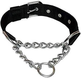 DogTrust 25 cm Dog Chain Leash