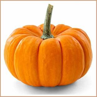 Dream mall Pumpkin Seeds Seed