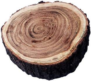 Aaila Live Edge Wood Butcher Block Chopping Cutting Board (9-12 INCHES) Wooden Cutting Board