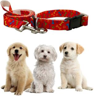 Jainsons Pet Products 150 cm Dog Strap Leash