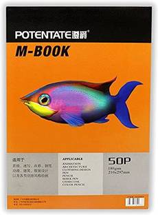 ARTRACK Bristol Smooth Paper A3 Pad, 50 Sheets 180 GSM Paper 297X420 mm Sketch Pad