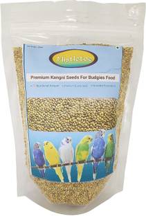 Mistletoe Product Budgie, Finch, Love Bird Premium Foxtail millets Bird Food Kangani Seed 0.5 kg Dry Young, Adult Bird Food