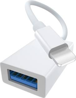 FASTX Lightning OTG Adapter