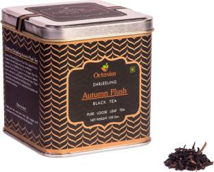 Octavius Autumn Flush Black Tea Tin