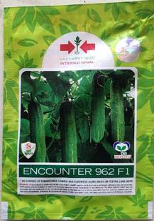 East West Seeds Cucumber Seed