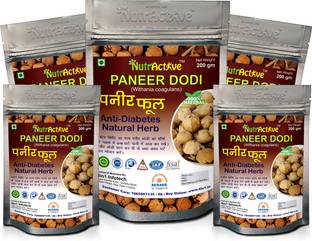 NutrActive Organic PANEER DODI PHOOL - Paneer doda 1 kg