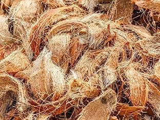 Sumukh Tulsi Mala COCONUT HUSK FOR ORCHID - FIRE - BURNING Husk