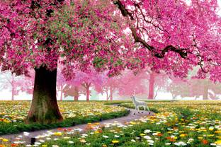 HD PRINT HOUSE Vinyl Nature Multicolor Wallpaper