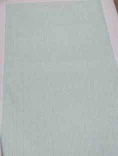 Designers den Graph sheet of CM size 20"x30" pack of 10 sheets