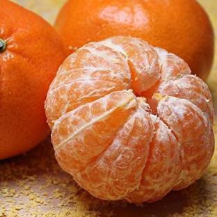 KANAYA Orange Fruit Hybrid Seed