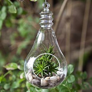 MAGICMOON Glass Hanging Planter Bulb Shape, Terrarium For Artificial Plants (9" Holder) Plant Container Set