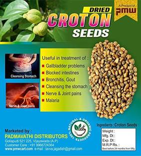 PMW Croton Tiglium - Purgative Croton Oil Seeds - Nepala Seeds - Good Quality - Jamalgota - Jamalgotha - 50 Grams Seed