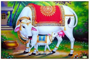komstec 18 inch Kamdhenu Cow Wall Stickers For Home Décor, Living Room 18x12 Inch Self Adhesive Sticker