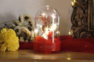 Chocozone Showpiece Gift Set