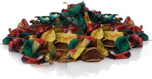 Green Plant indoor Potpuri1153 Vase Filler
