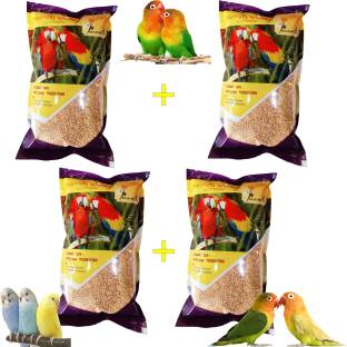 Parrots Wizard Kangni Seed Bird Food 3.8 kg (4x0.95 kg) Dry New Born, Adult, Young, Senior Bird Food