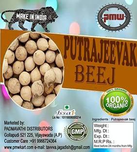 PMW Putrajeevak Seeds - Putra jeevak Beej - 100 Grams Seed