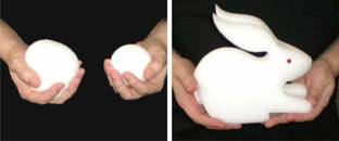 patil magic Sponge ball to Rabbit 1 Magic Tricks