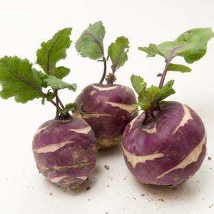 MKR Enterprises Knol Khol Seed