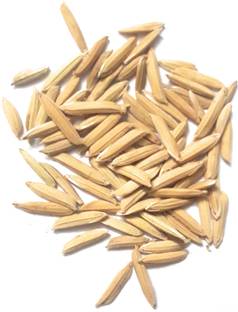 sbseeds PB 1718 Rice Paddy Seed 4kg Seed