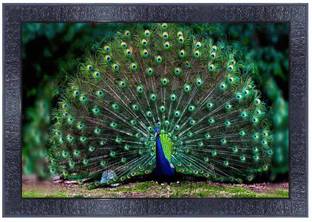 pnf Poster And Frame Peacock Wall Painting | Best Gift | Home Decoration Item Digital Reprint 10.25 inch x 13.75 inch Painting