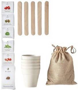 Quinergys LXI-233-Grow Cocktail Garden Kit Seed
