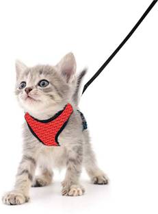 BODY BUILDING Red Cat Harness Cat Harness & Leash