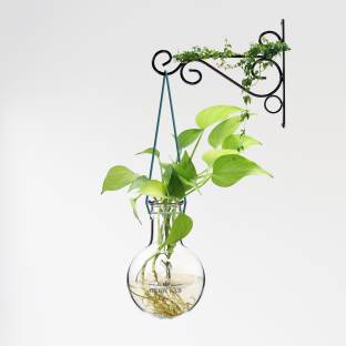 Brew Lab Plant Container Set