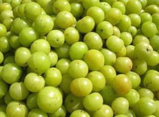 Chalisa Gooseberry, Amla Seed