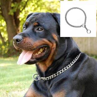 Rvpaws Stainless Steel Chock Chain for Dog 10 No, 24 Inch Plain Dog Collar Charm