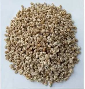 Arko ®Oyster Mushroom Spawn Seed